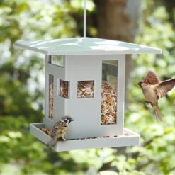 Bird Feeder - Bird Cafe