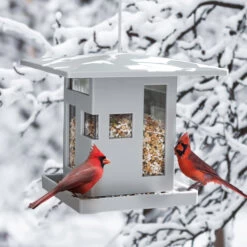Bird Feeder - Bird Cafe -Home Essentials Shop pic 10025 3 627a2c892322c