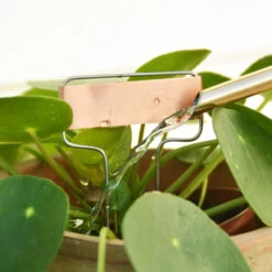 Copper Plant Tags And Stamper Set -Home Essentials Shop pic 10076 3 62bc6bf0e4f00