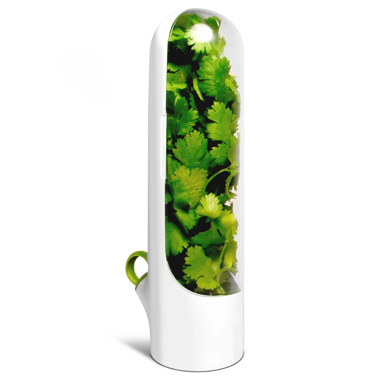 Herb Keeper - Set Of 3 3 Herb Keeper - Set Of 3 - Image 3