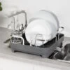 Dish Rack - Holster
