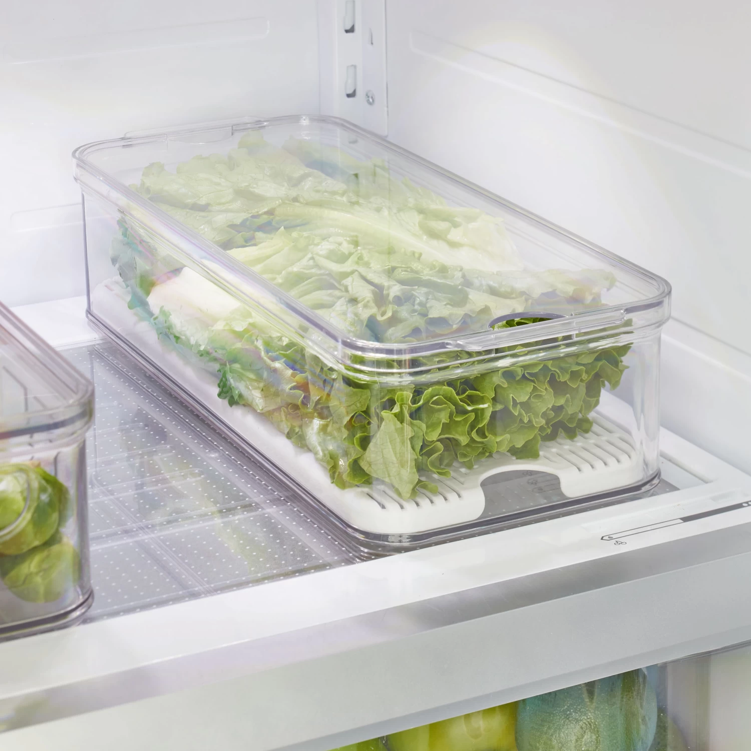 Lidded Fridge And Pantry Storage Container - Crisp 2 Lidded Fridge And Pantry Storage Container - Crisp - Image 2