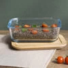 Rectangular Glass Container With Bamboo Lid - 1500ml