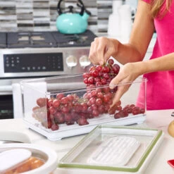 Large Lidded Produce Storage Container - Fresh