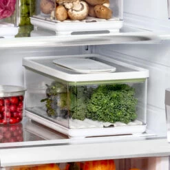 Large Lidded Produce Storage Container - Fresh 8 Large Lidded Produce Storage Container - Fresh -Home Essentials Shop pic 10791 3 6527cc2646936