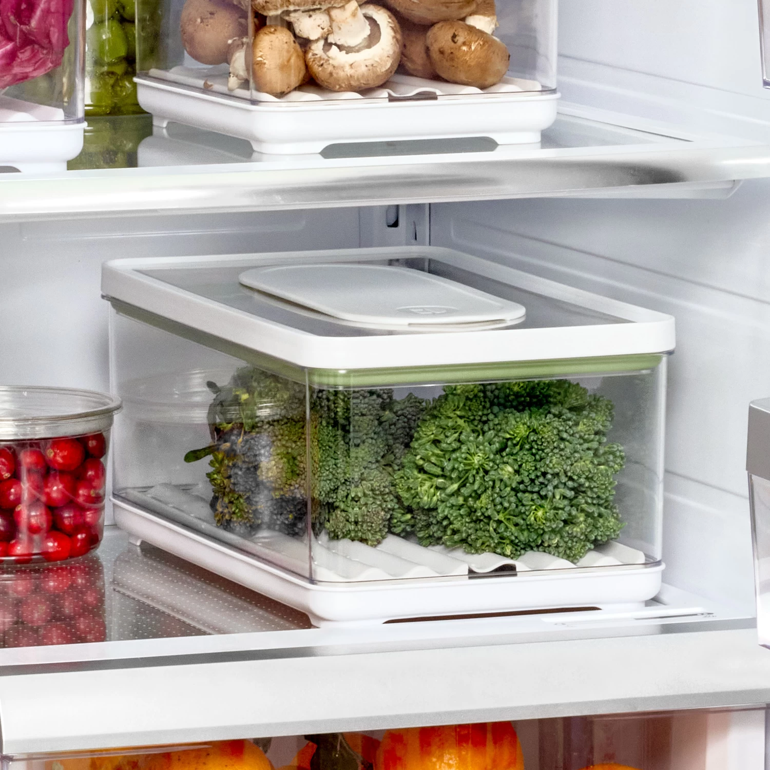 Large Lidded Produce Storage Container - Fresh 4 Large Lidded Produce Storage Container - Fresh - Image 4