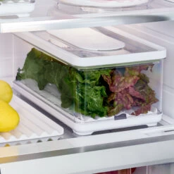 Large Lidded Produce Storage Container - Fresh 9 Large Lidded Produce Storage Container - Fresh -Home Essentials Shop pic 10791 3 6527cc2e4e7f6