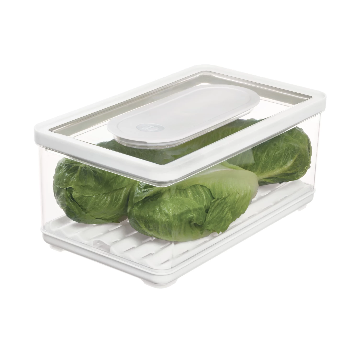 Large Lidded Produce Storage Container - Fresh 2 Large Lidded Produce Storage Container - Fresh - Image 2