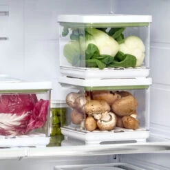 Small Lidded Produce Storage Container - Fresh -Home Essentials Shop pic 10792 3 6527e20a80a75