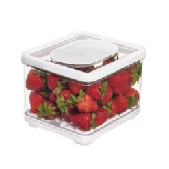 Small Lidded Produce Storage Container - Fresh -Home Essentials Shop pic 10792 3 6527e20fb7b6c