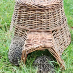 Hedgehog House