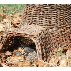 Home Essentials Shop -Home Essentials Shop pic 1246 3 60893cb232e93