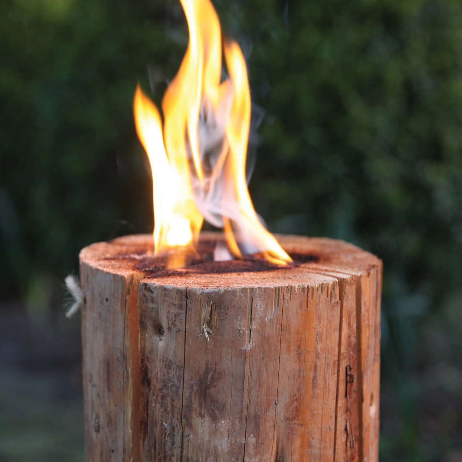 Swedish Fire Log 2 Swedish Fire Log - Image 2