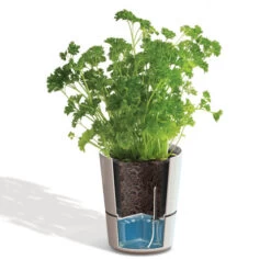 Hydro Herb Twin Pots - White -Home Essentials Shop pic 4809 3 5e4421a08b17a