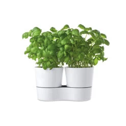 Hydro Herb Twin Pots - White -Home Essentials Shop pic 4809 3 5e4421a6781b7