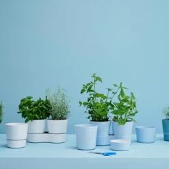 Hydro Herb Twin Pots - White -Home Essentials Shop pic 4809 3 6054b48178617