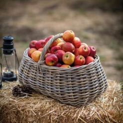 Foraging Basket - Bembridge -Home Essentials Shop pic 4977 3 5f365b046018c
