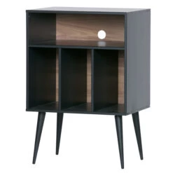 LP Storage Cabinet - James -Home Essentials Shop pic 9585 3 60d9e2be94090