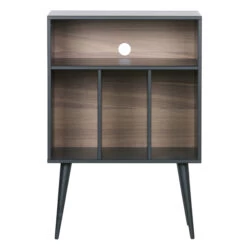 LP Storage Cabinet - James -Home Essentials Shop pic 9585 3 60d9e2c9b351c