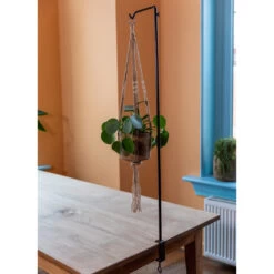 Table Clamp Hook